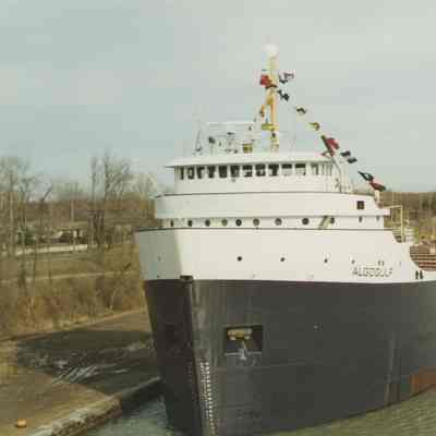 ALGOGULF