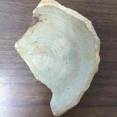 Ceramic Fragment