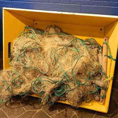 Nets and Net Box