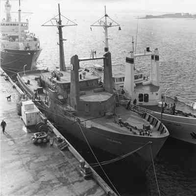 Oceanus and Wecoma docked aerial view