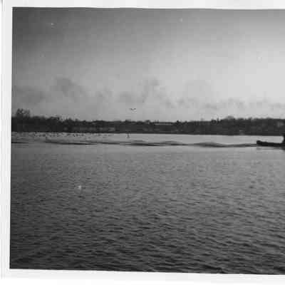 Tugboat underway