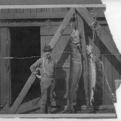 Theodore Delille with two large fish hanging 1908