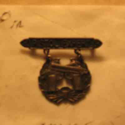 Pistol Expert Award Pin