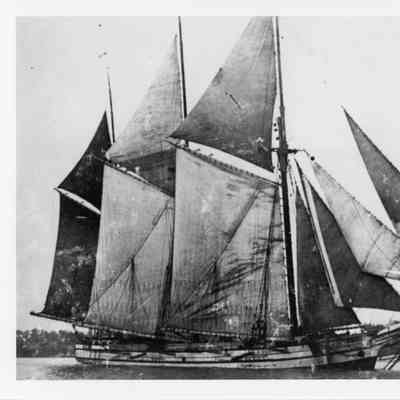 Schooner Lake Forest