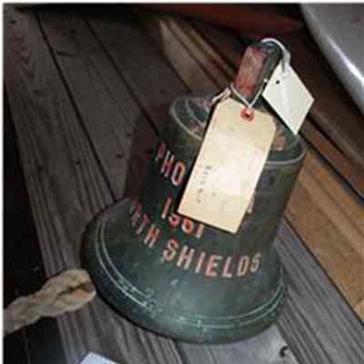Photinia Ship's Bell