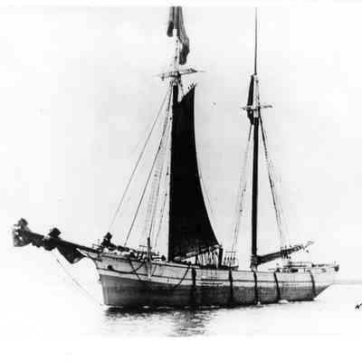 Schooner Fearless