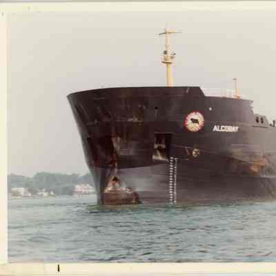 Algo Bay 1980