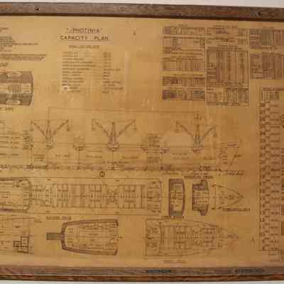 Photinia Framed Technical Drawing