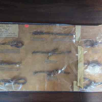 Ornamental Knot Board