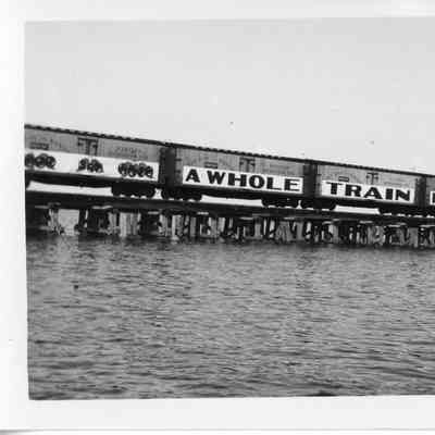 Railroad cars on Leathem and Smith bridge trestle