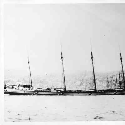 Olive Jeanette