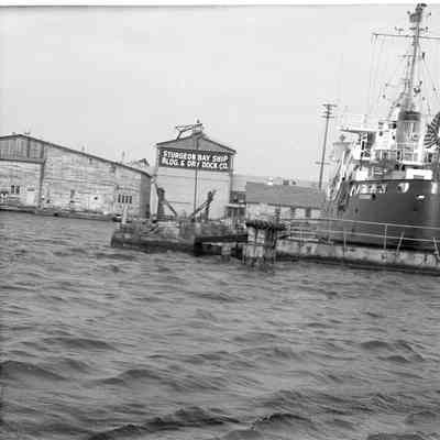 Woodbine at SBSB&DD CO.