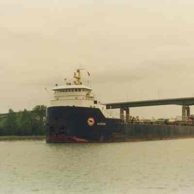 ALGOSOO