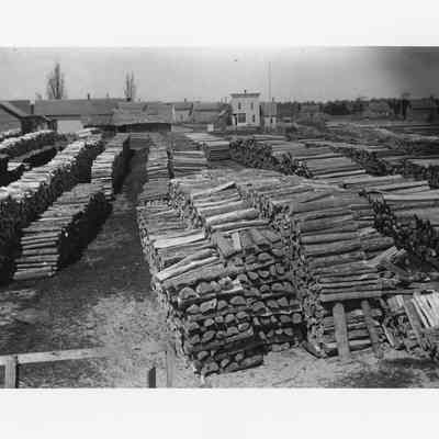 Cordwood piles at Jacksonport