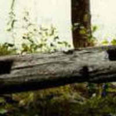 Shipwreck Covering Board