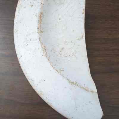 Plate fragment