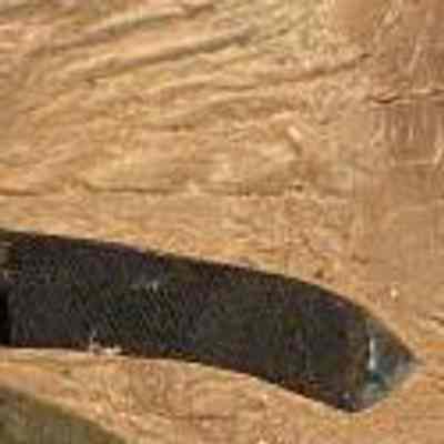 Wood Carving Knife