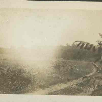Road in unidentified field