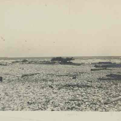 Gravel Island shoreline
