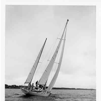 Arcadia undersail