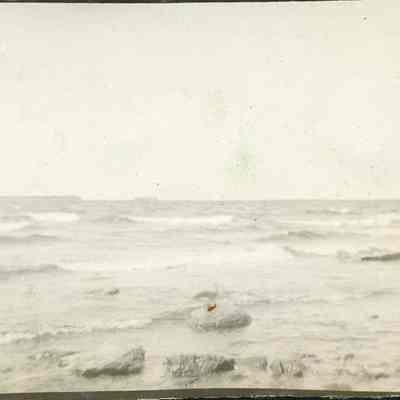 Shoreline