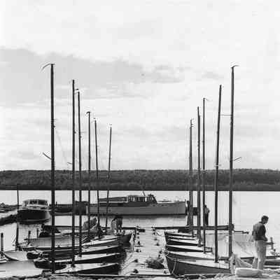 Sailboats docked with pleasure craft in background