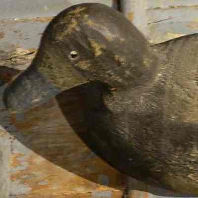 Wooden Duck Decoy