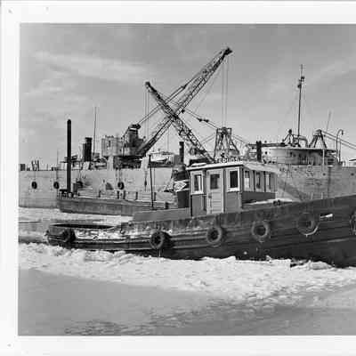 Roen Tug Spuds dockside