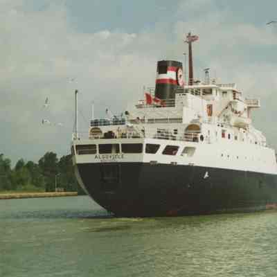 ALGOVILLE