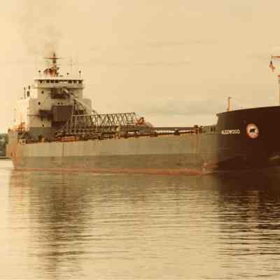 Self-Unloader Algowood underway in Saint Mary's River June 1982