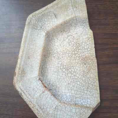 Plate fragment