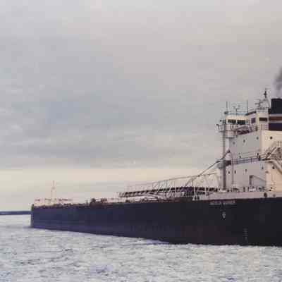 AMERICAN MARINER