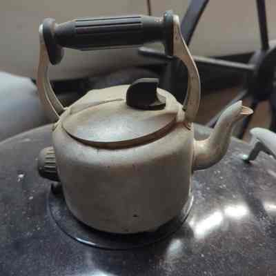 Photinia Electric Teapot