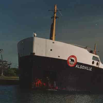 ALGOVILLE