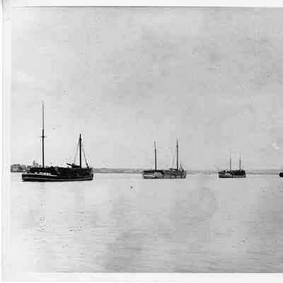 Schooner B.B. Bukhout and four other schooners being towed by the steamship Homer Warren