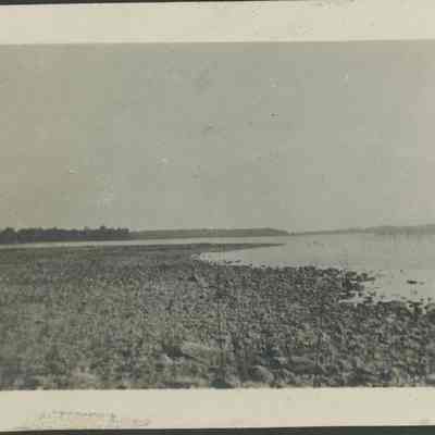 Kangaroo Lake shoreline 1916
