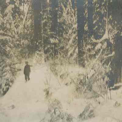 Man standing in snowy woods