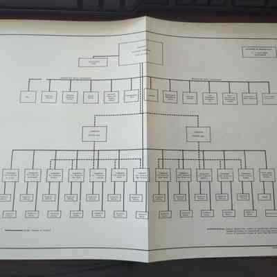United States Coast Guard organization chart