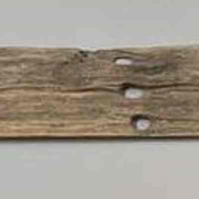 Fleetwing Hull Plank