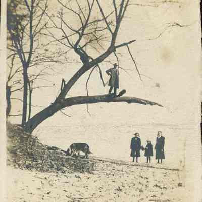 Man standing on tree limb with women below