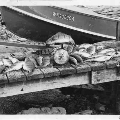 Portion of boat WS9383CA with 39 perch on dock with small scale 1963