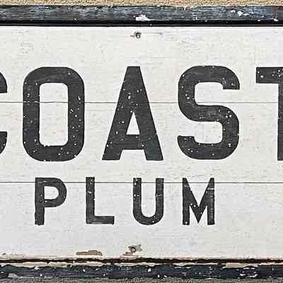 Coast Guard Plum Island Sign