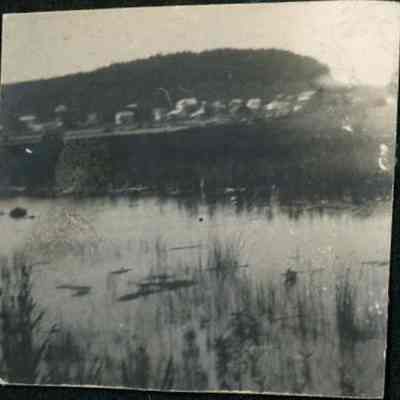 Shoreline