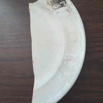Plate fragment