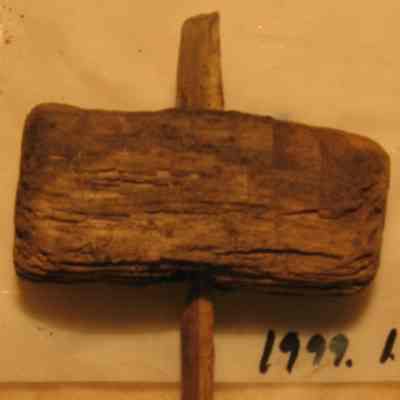 Worked Wood from Shipwreck