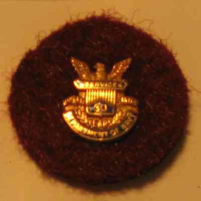 Ken Soule US Navy 30 service pin