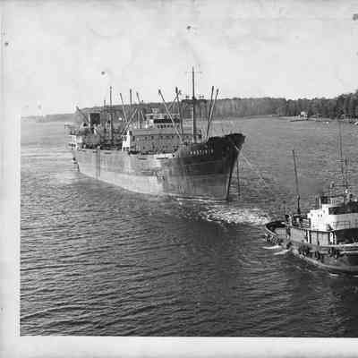 Photinia being pulled by tug John Selvick