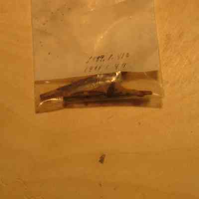 Square Nail