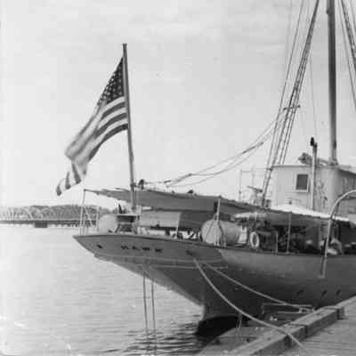 Hawk dockside
