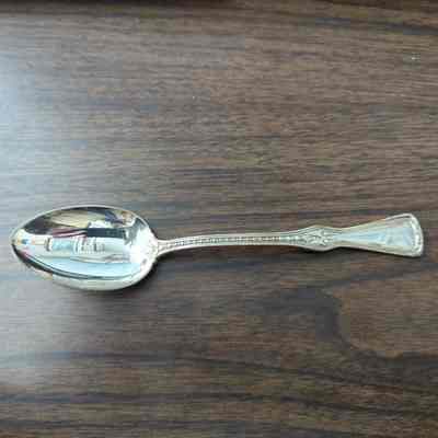 Goodrich Steamship Line Serving Spoon